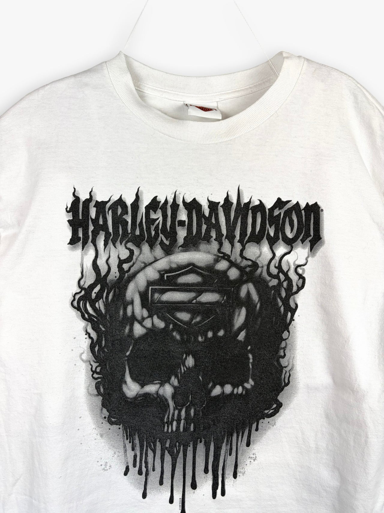 Harley Davidson Blue Ridge Long-sleeve Shirt